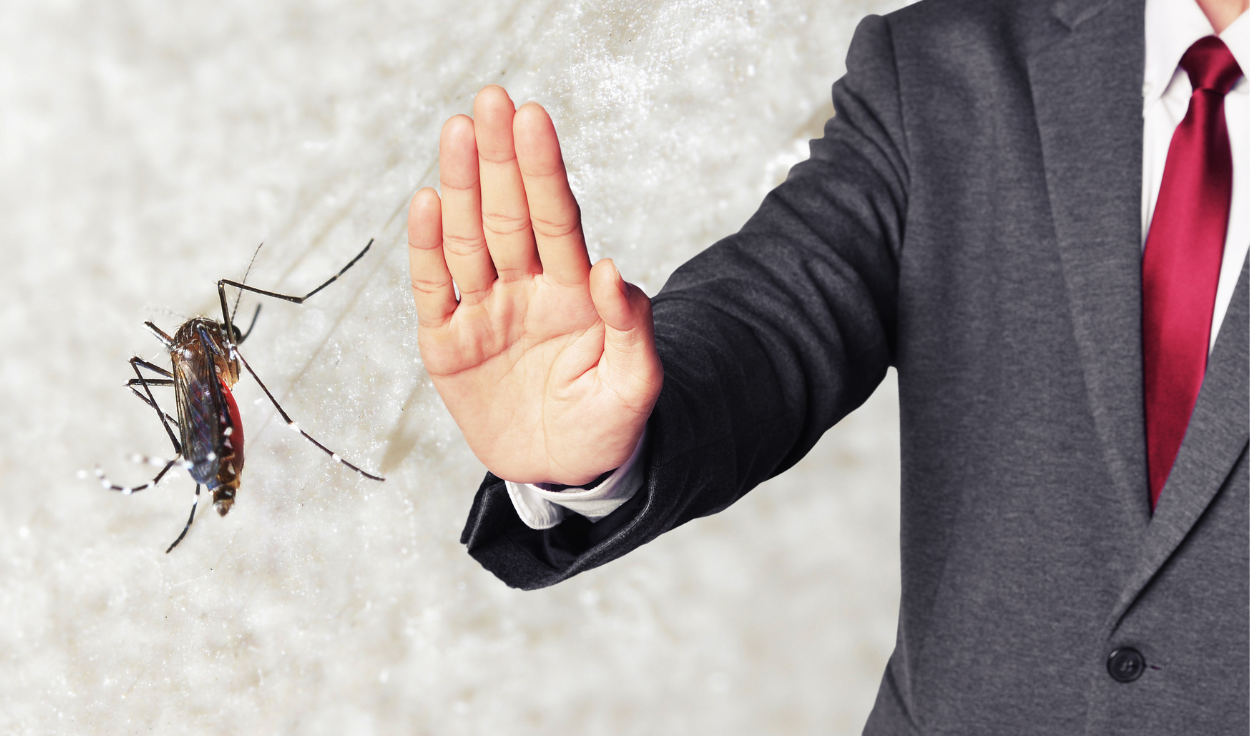 How to Protect your Family from Mosquitoes